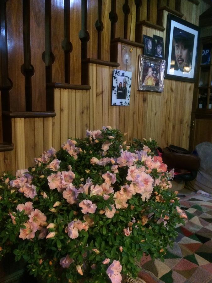 Ngawang Homestay Dárdžiling Exteriér fotografie